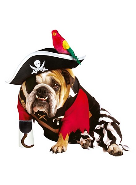 Pirate Déguisement de chien
