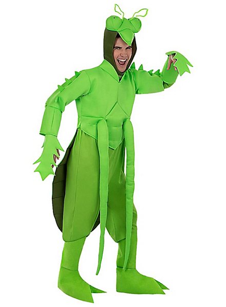 Praying mantis costume