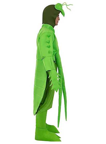 Praying Mantis Animal Flamingo Costume For Family main image 1