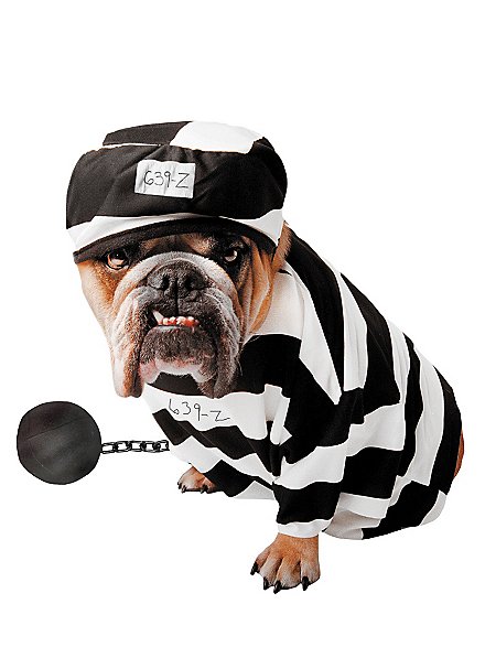 Prisoner Dog Costume