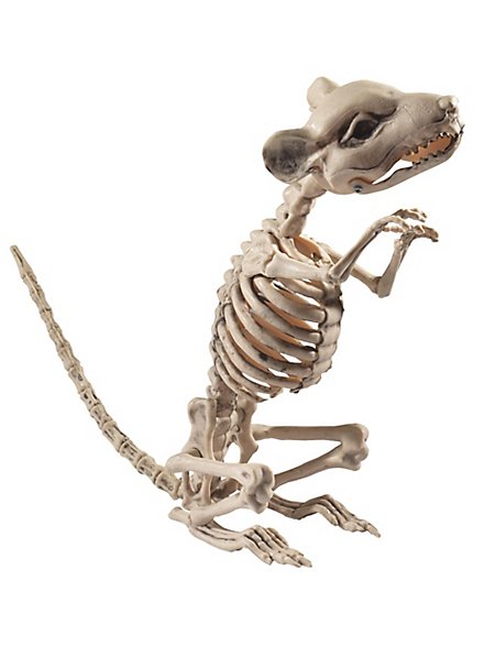 Rat skeleton Halloween decoration