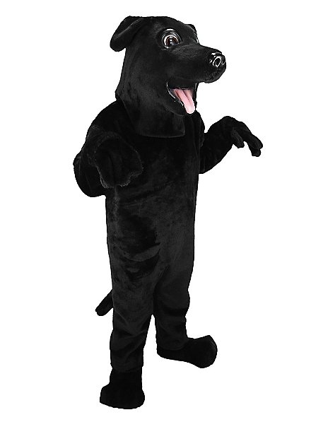 Schwarzer Labrador Maskottchen