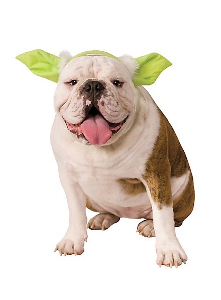 Serre-tête Yoda Star Wars pour chien