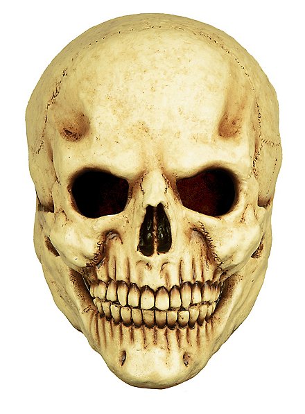 Skull Horror Mask made of latex