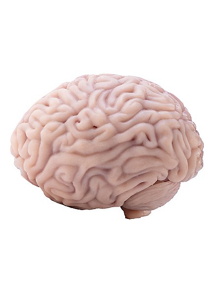 Small brain made of silicone (12 cm)