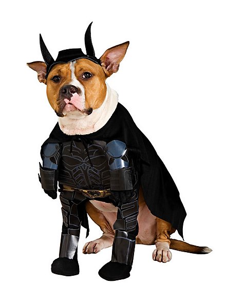 The Dark Knight Rises Batman Hundekostüm