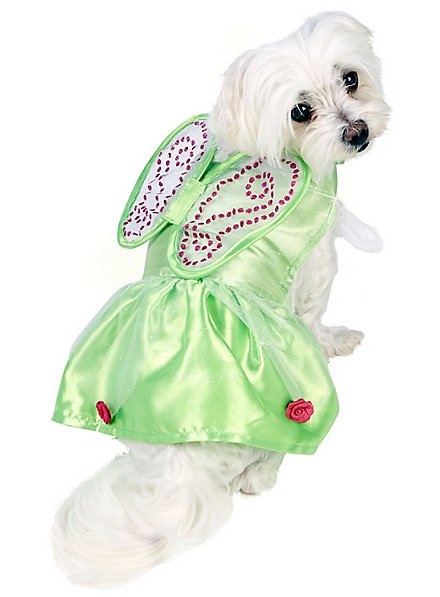 Tinkerbell Hundekostüm