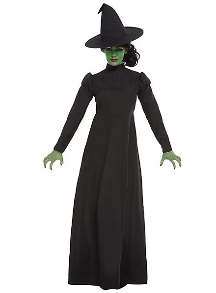 Wicked Witch witch costume