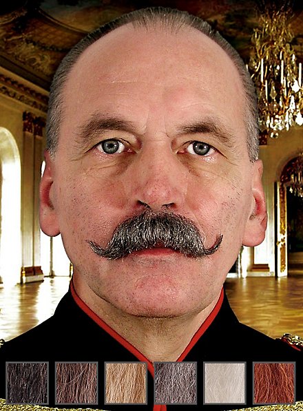 Wilhelm Moustache professionnelle en poils véritables
