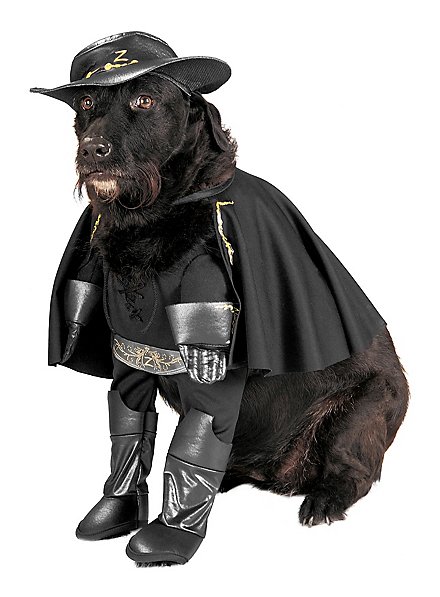 Zorro Dog Costume