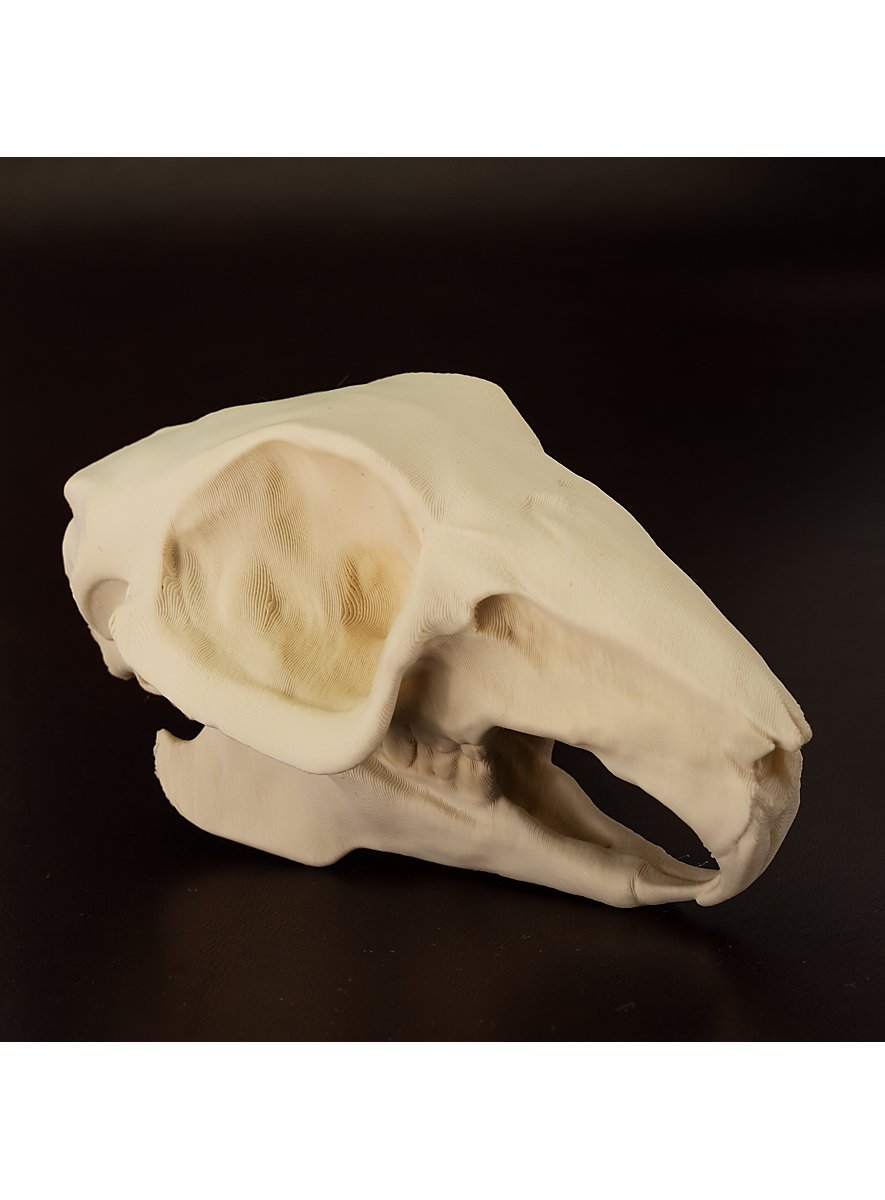 3D-printed rabbit skull for self-painting (10cm) - maskworld.com