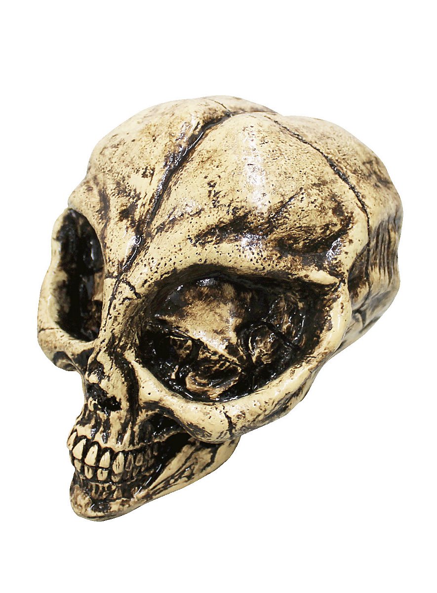 Alien Skull - maskworld.com