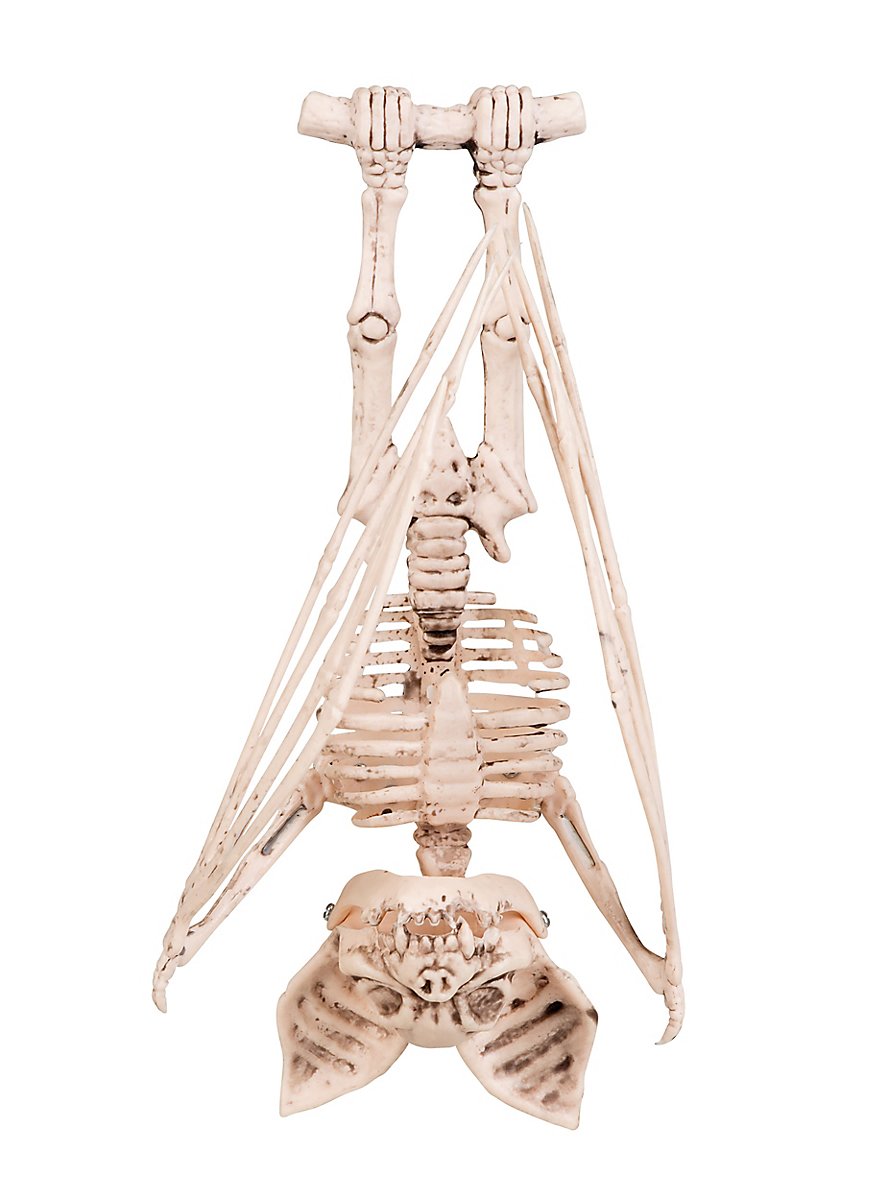 Bat Skeleton Decoration