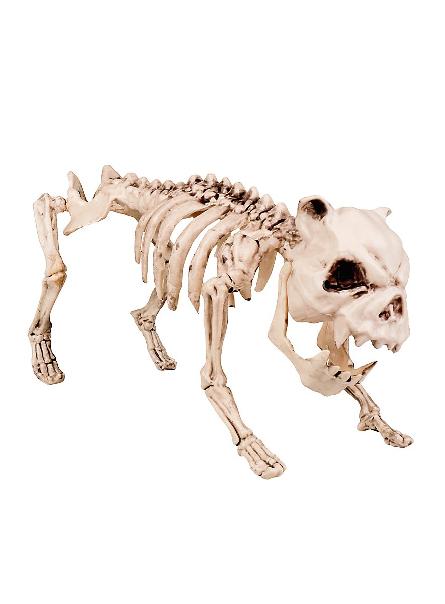 Dog Skeleton Halloween Deco