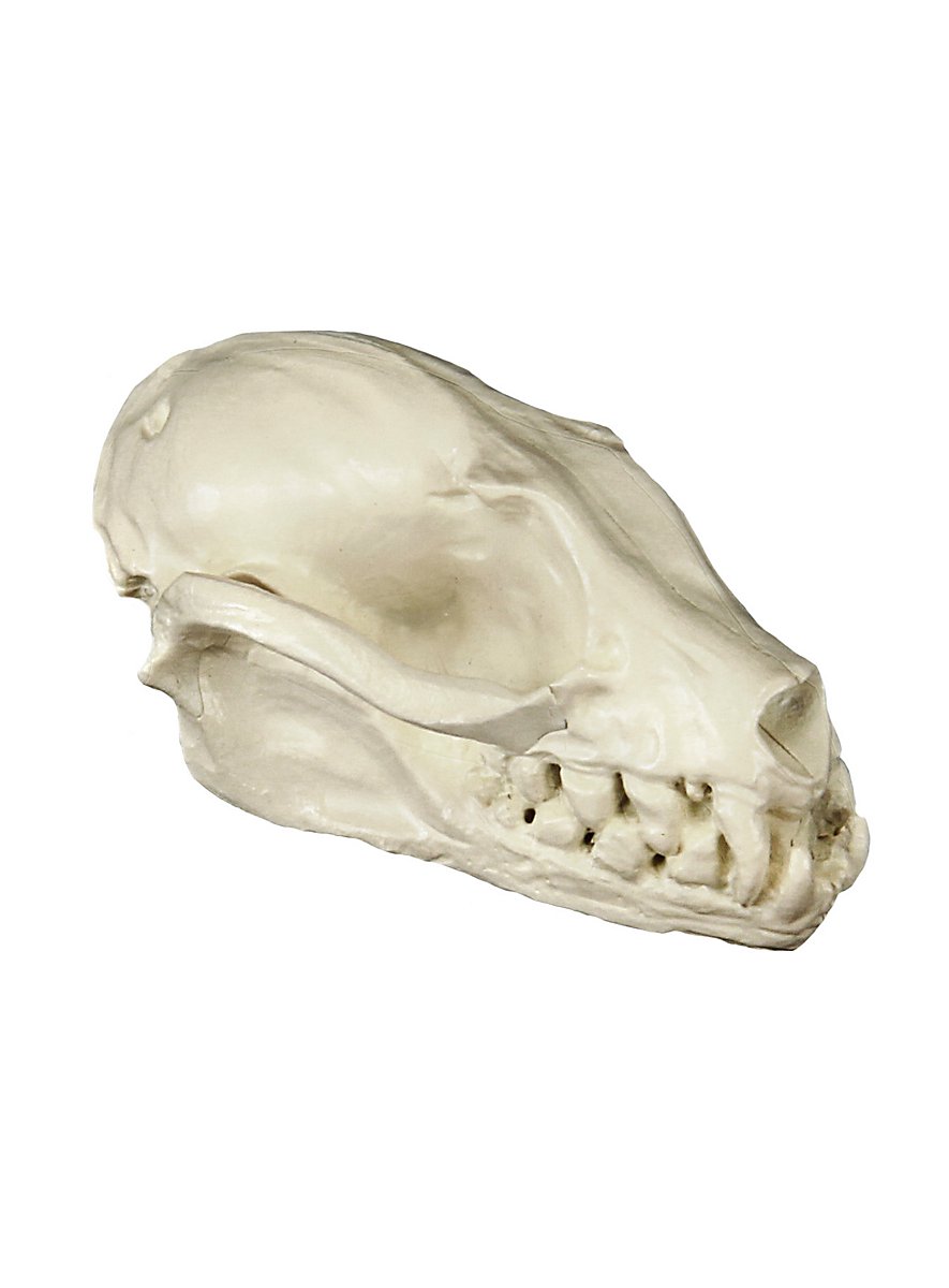 CBRVTY Halloween Deko Set - Grusel-Party Dekoration Mit Girlanden & Fledermäusen | Türdeko Für Halloween