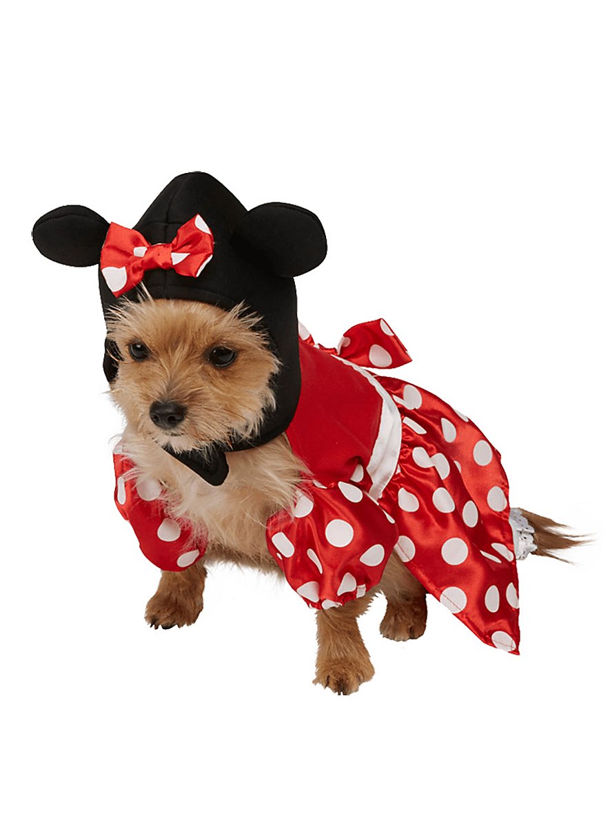 Minnie Mouse Dog Costume
