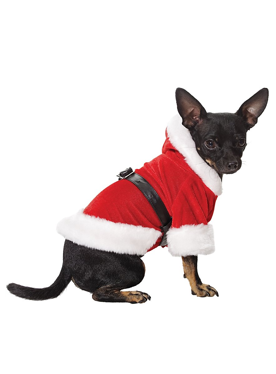 Santa Dog Costume