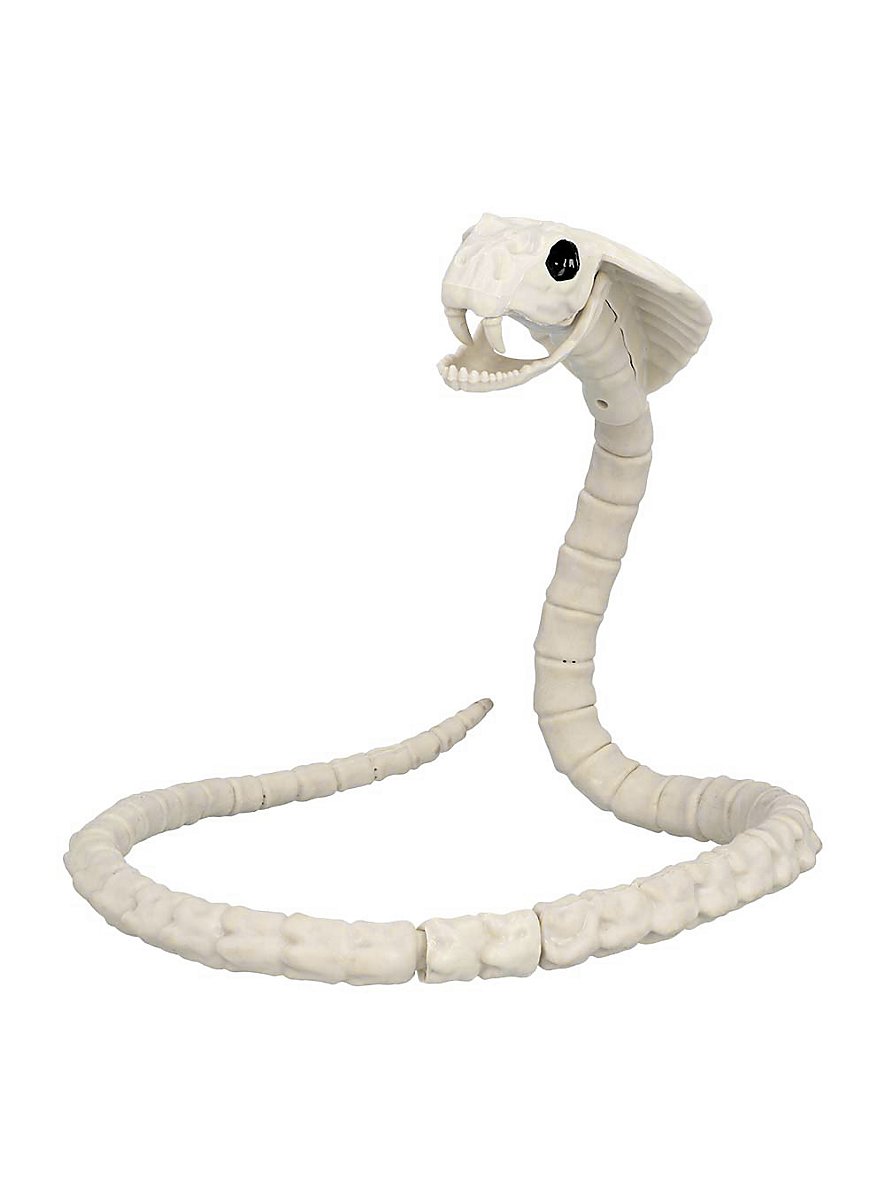 Snake skeleton - maskworld.com