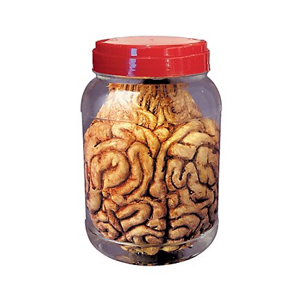 Brain in a jar