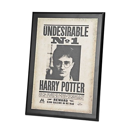 Harry Potter Steckbrief No. 1