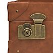 Fantastic Animal Beings - Replica Newt Scamander Case Limited Edition