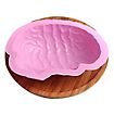 Halloween silicone moulds set brains for pudding, ice cubes and baking, set of 2