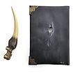 Harry Potter - Basilisk Fang and Tom Riddle Diary Replica