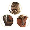 Harry Potter - Collector's figure Magical Creature N°17 Mandrake