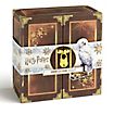 Harry Potter – Deluxe Adventskalender 2023 – Zaubertränke