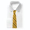 Harry Potter - tie Hufflepuff New Edition
