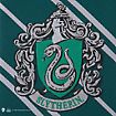 Harry Potter - tie Slytherin New Edition