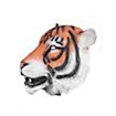 Sibirischer Tiger Maske aus Latex