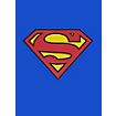 Superman Girlie Shirt Logo