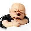 Werewolf puppy - Toby figure