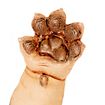 Werewolf puppy - Toby figure
