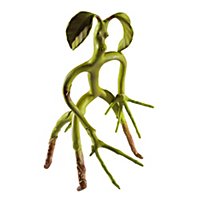 Fantastic Animal Beings - figure Bendable Bowtruckle Pickett