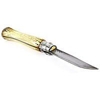 Harry Potter - Albus Dumbledore Folding Knife with Collector's Case