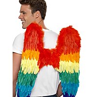 Rainbow feather wings