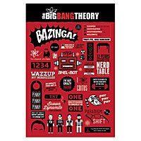The Big Bang Theory - Poster Infographic