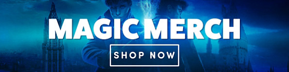 Harry Potter Merchandise for Christmas