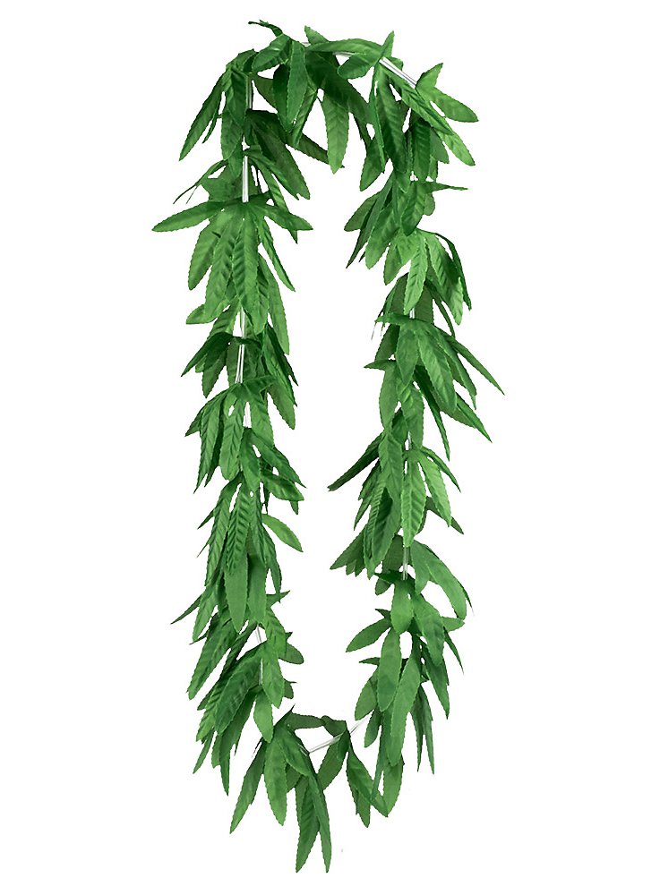 Highwaii flower necklace