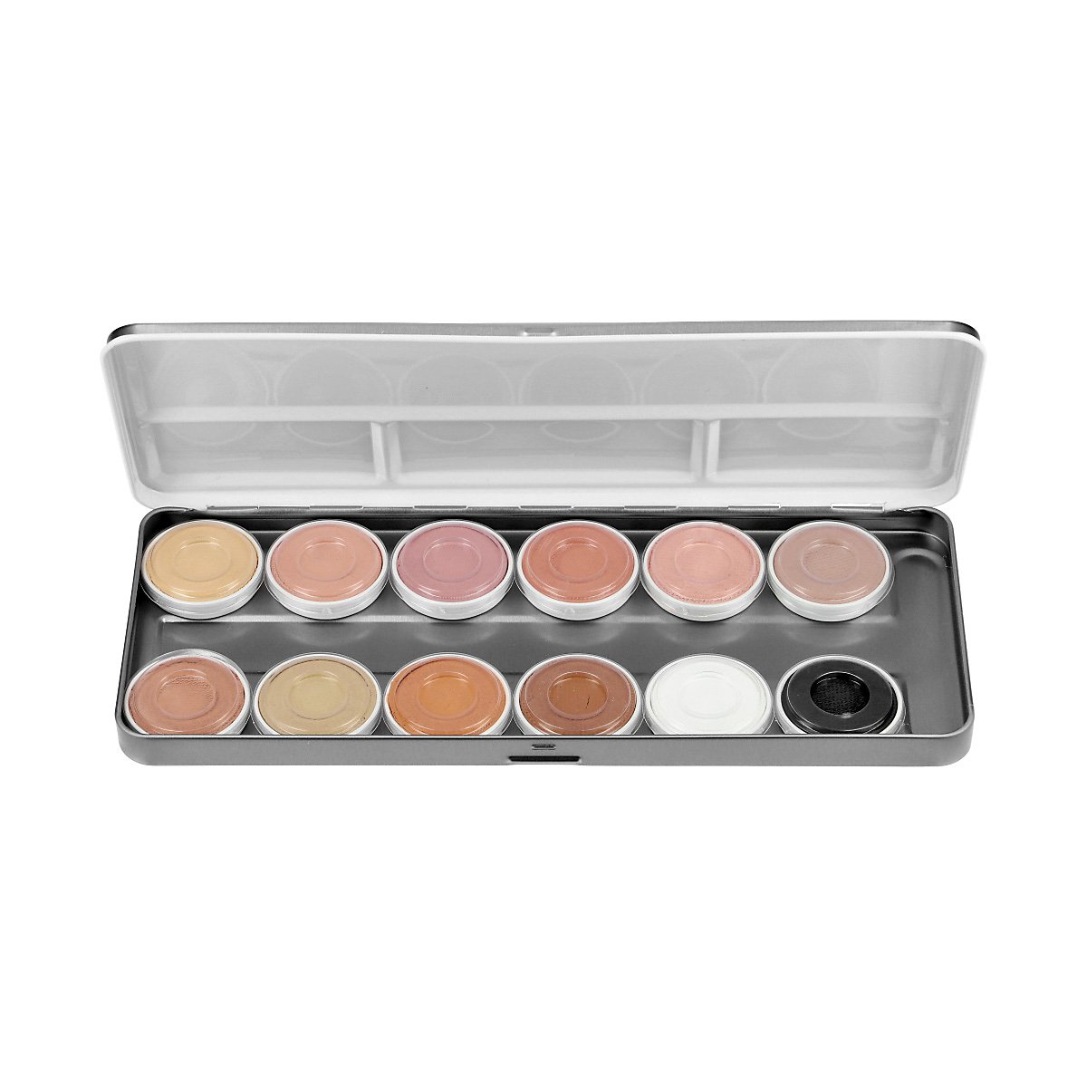 Water makeup Skin Tones - Palette with 12 colors