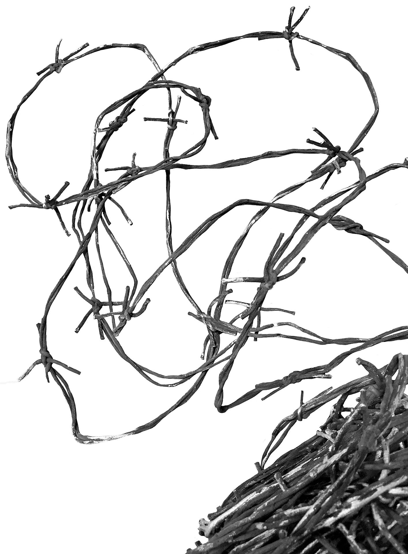 Filo spinato decorativo in plastica da 10 metri