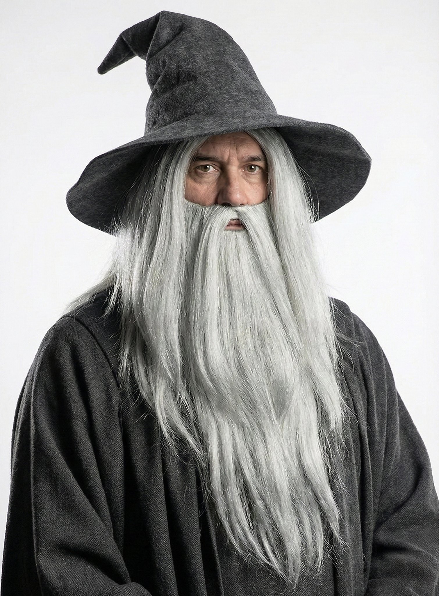 Perruque et barbe de sorcier gris