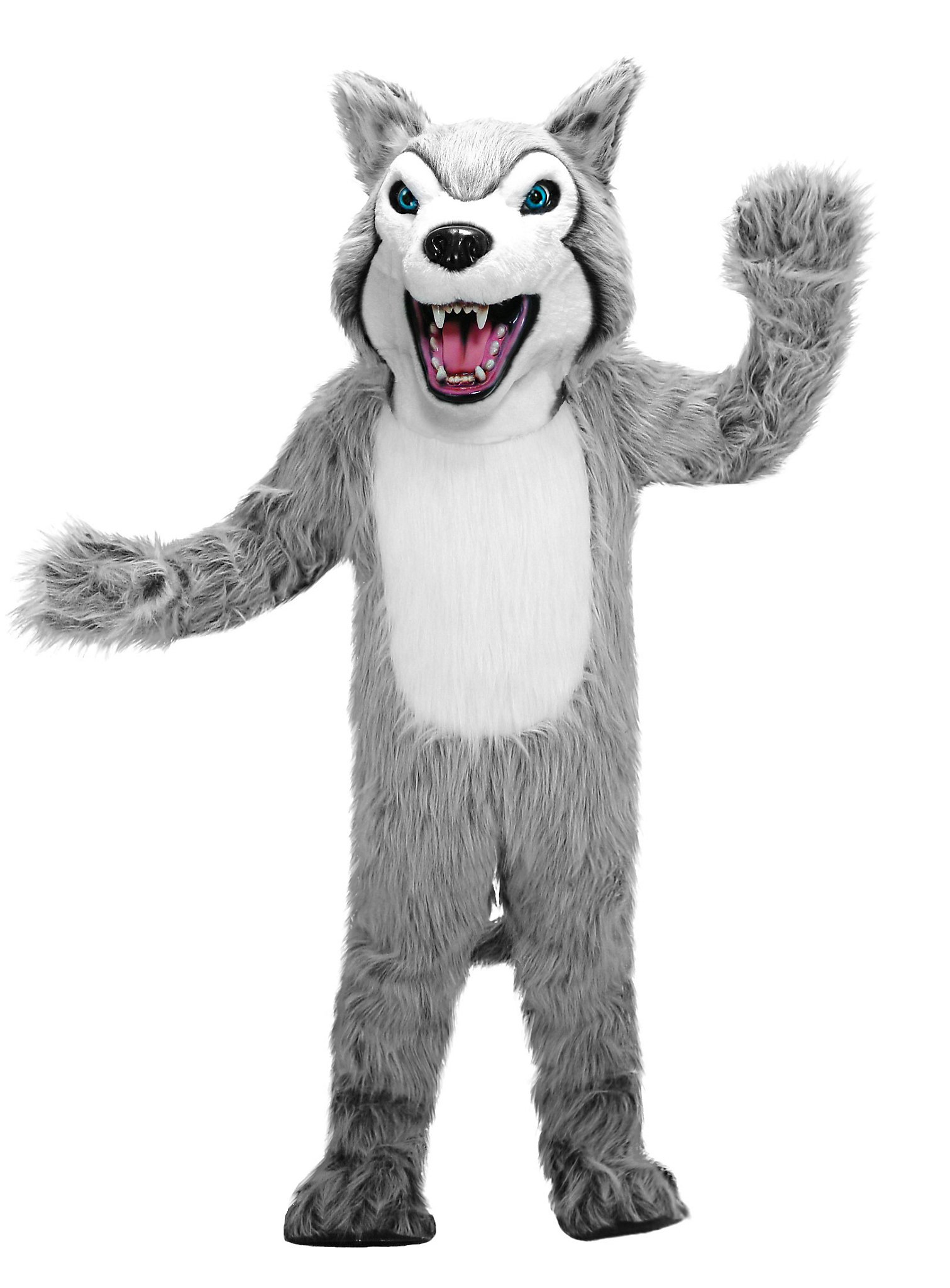 Mascota De Husky Salvaje