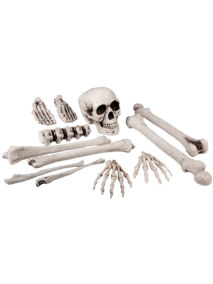 Skull and Bone Decoration