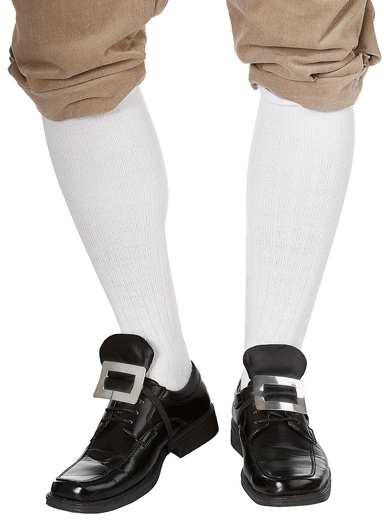 Boucles de chaussures argentées