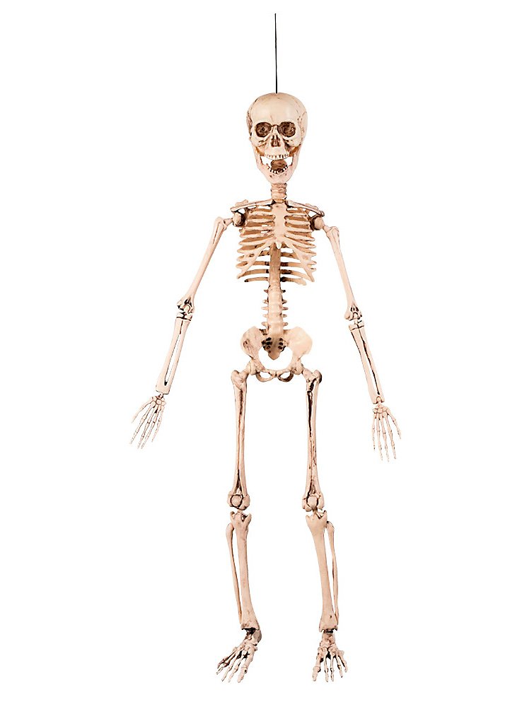 Bewegend mini-skelet