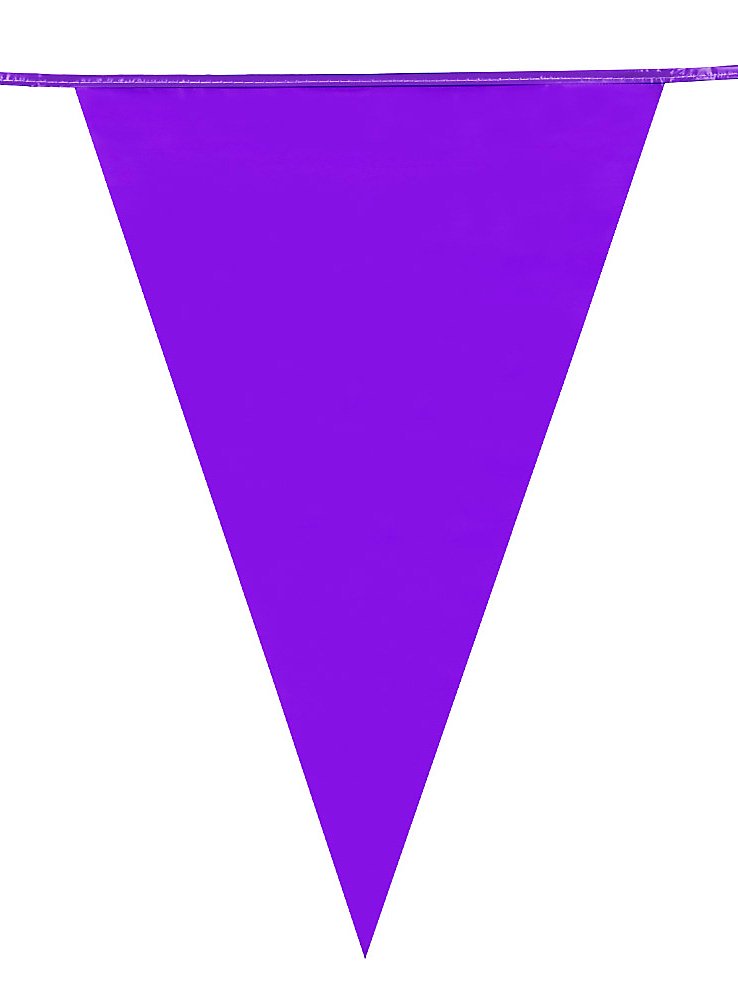 Guirnalda De Banderines Morada 10 Metros