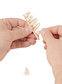 3D-Druck - 8 Stk. menschliche Zähne als Anhänger mit Lederband